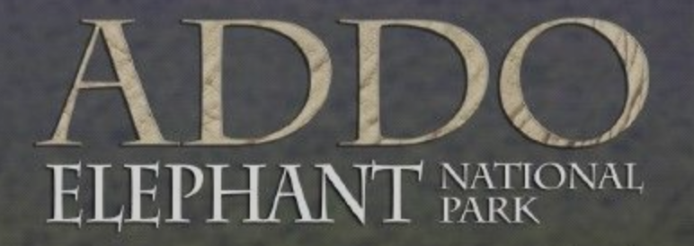 Addo Elephant National Park