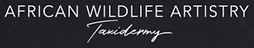 African Wildlife Artistry